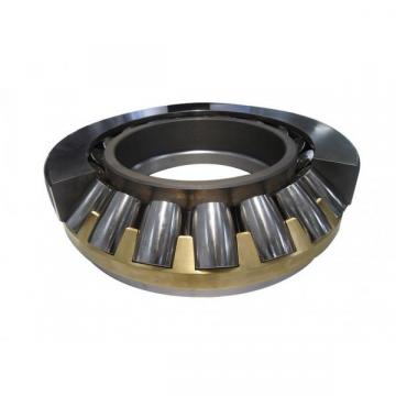 219P Sealed Single Row Radial Bearing